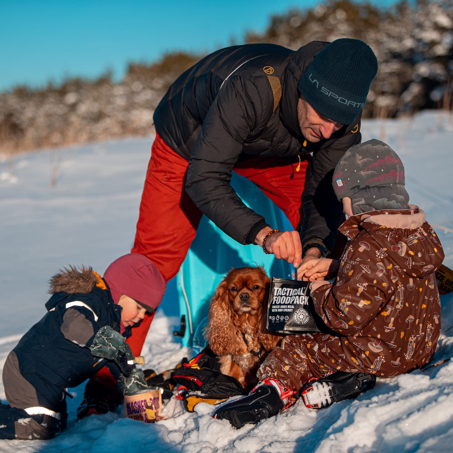 what we are looking for