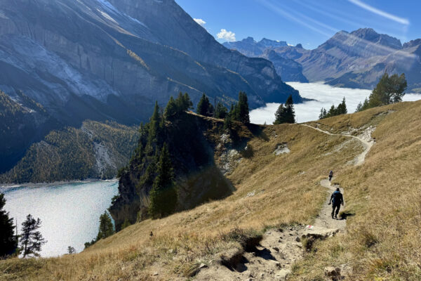 Leave no trace